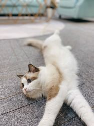 -元一肌肤管理中心