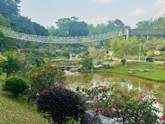 -东莞植物园