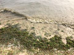 iphone_upload_pic-滴水丹屏