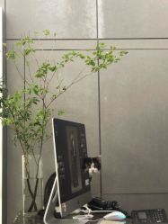 -塞巴斯汀SEBASTIAN专业美发店