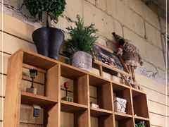 -Cafe Alice咖啡爱丽丝(奥城店)