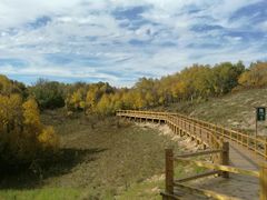 -塞罕坝国家级自然保护区