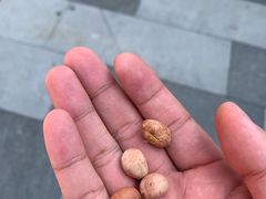 -段氏奇香花生米(长嘉汇店)