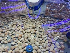 -澜悦港海鲜体验主题餐厅