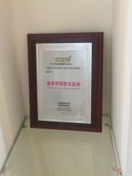 -瑞尼丝国际专业脱毛连锁