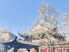 -长春观