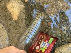 -小五台金河景区