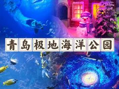 -海合安青岛极地海洋公园