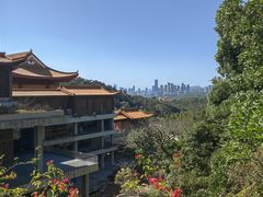 -深圳仙湖植物园