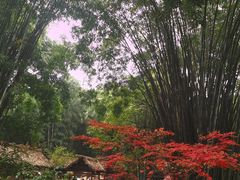 -成都杜甫草堂博物馆