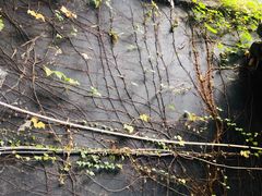 -乌山风景区