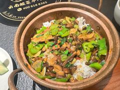 -滇牛云南火锅(桂林路店)
