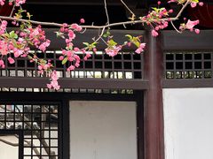 -常熟方塔园
