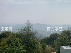 -桃花岭景区