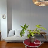 【友杏】遇见杨梅竹斜街胡同～