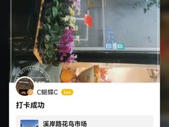 -溪岸路花鸟市场