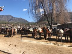 -玉龙雪山游客服务中心