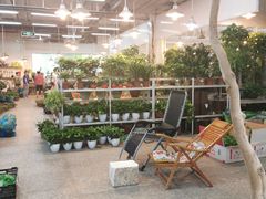 -双季花艺园艺市场(浦东店)