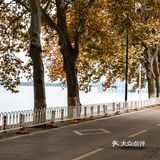 东湖日记（东湖南路）| 2021.11.01 | 多云