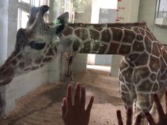 -上海动物园(地铁站)