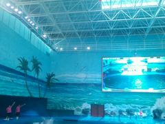 -多彩贵州城极地海洋世界