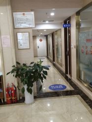 -碧莲盛·不剃发植发