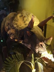 -恐龙探索乐园(磁器口店)