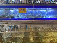-两兄弟Song Pee Nong(2号店)