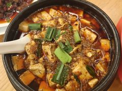 -陈麻婆豆腐总店