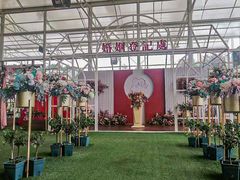 -盈香心动乐园
