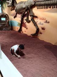 -北京科学中心儿童乐园