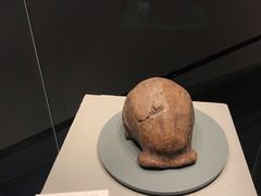 -北京周口店北京人遗址博物馆