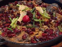 -老板恋上鱼(恒隆广场店)