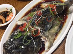 清蒸南海大龙胆-必点海鲜·鲅鱼水饺(鞍山西道店)