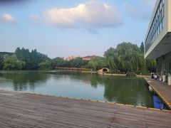 -青枫公园
