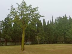 -采石矶景区