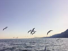 -怡得观滇餐厅·地道昆明菜·1996(海埂大坝店)