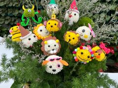 -石家庄市植物园