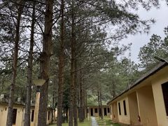 -海南热带雨林国家公园吊罗山景区