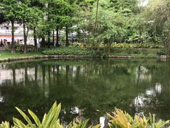 -晓港公园