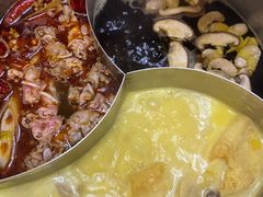 -青瓷火锅料理(西单大悦城店)