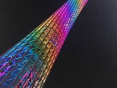 -广州都市观光巴士(粤陶巴)