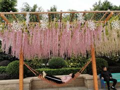 -厦门方特梦幻王国