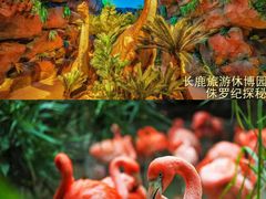 -长鹿旅游休博园