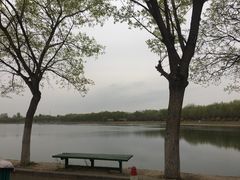 -素心小筑(后沙裕镇店)