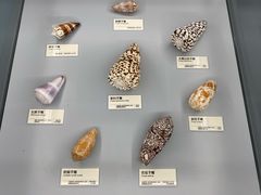 -天津古林古海岸遗迹博物馆