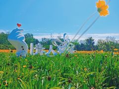 -东郊湿地公园
