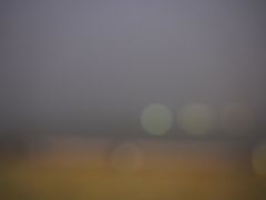 -音乐广场