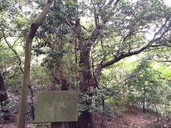 -普陀山风景区-佛顶山