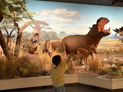 -陕西自然博物馆